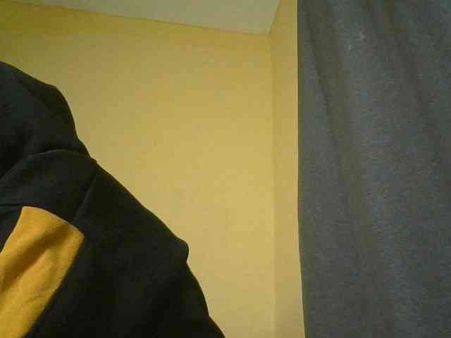 Monrax webcam