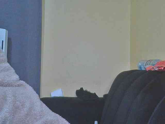 SexyAmelia1 webcam