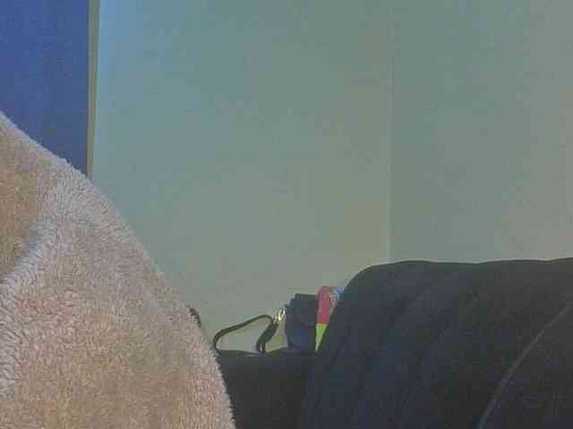 SexyAmelia1 webcam