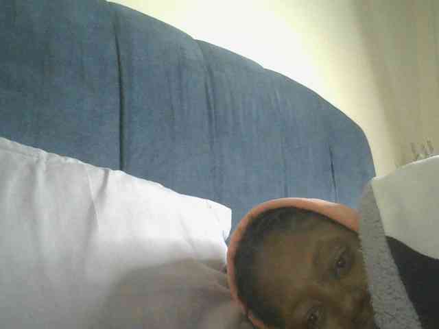 Monrax webcam
