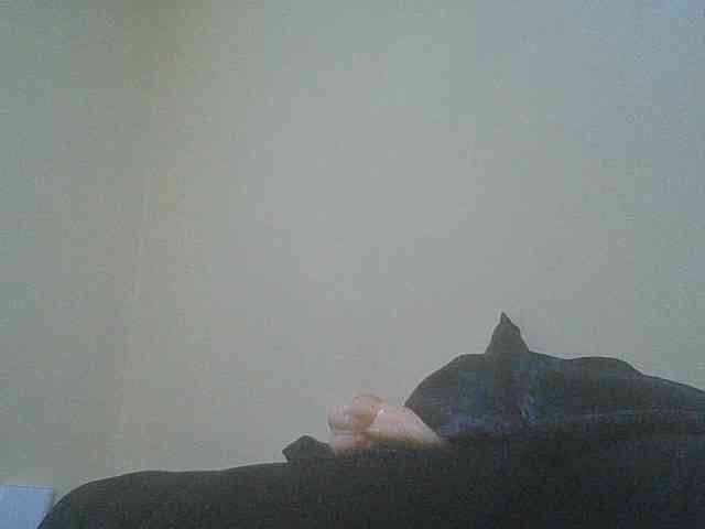 SexyAmelia1 webcam