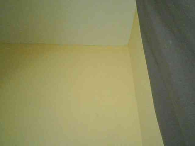 Monrax webcam