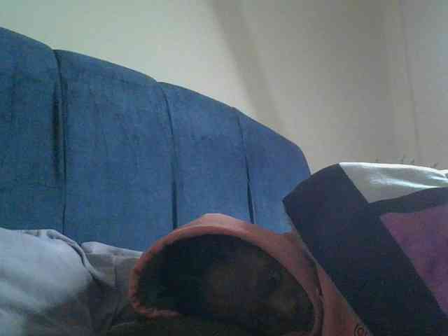 Monrax