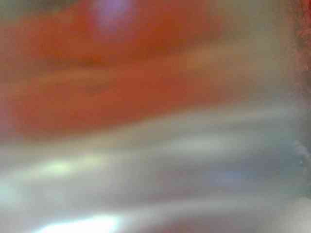 xFOXx10 webcam
