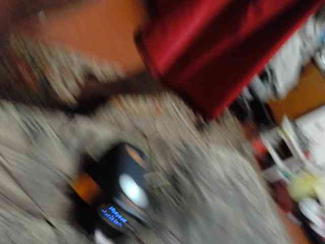 xFOXx10 webcam