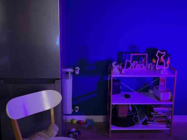 NeniGris webcam