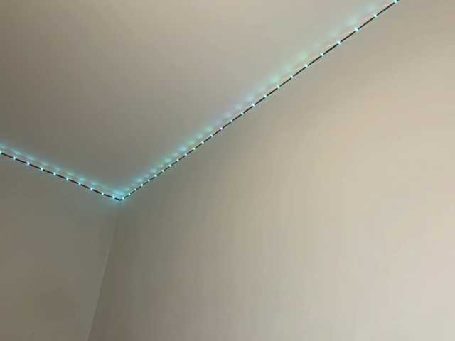 nessy-messy live cam on BongaCams