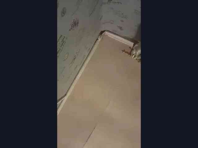 CatrinaDinehart webcam