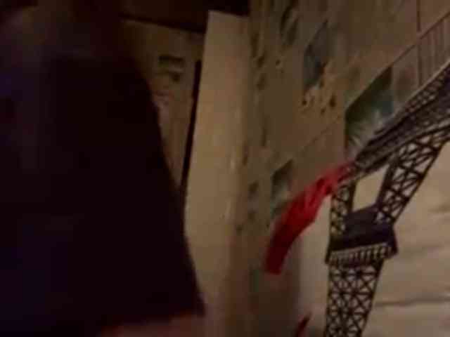 CatrinaDinehart webcam