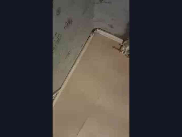 CatrinaDinehart webcam