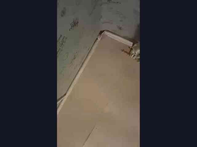 CatrinaDinehart webcam