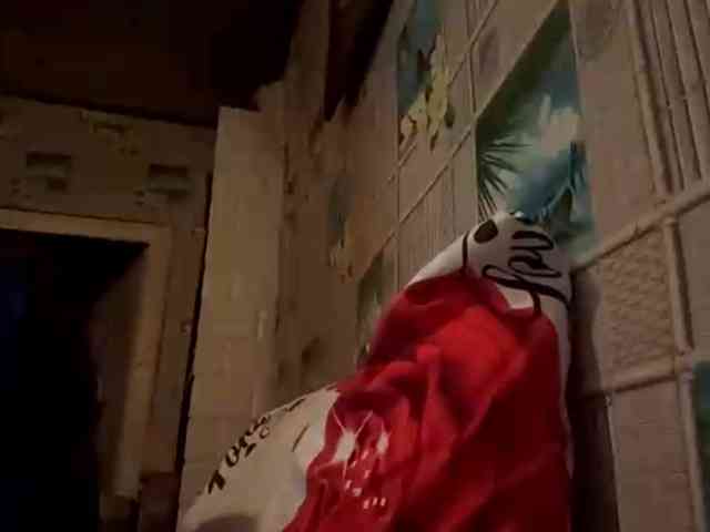 CatrinaDinehart webcam