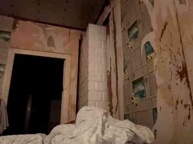 CatrinaDinehart webcam
