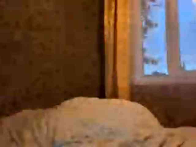 CatrinaDinehart webcam