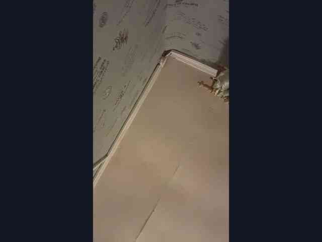 CatrinaDinehart webcam