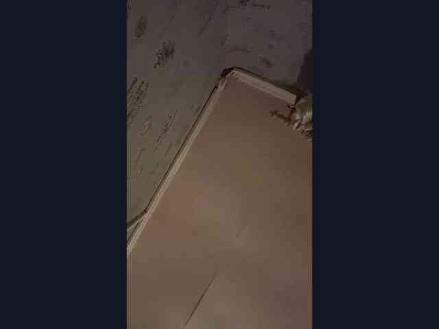 CatrinaDinehart webcam