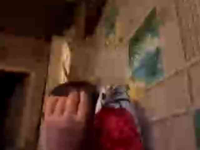 CatrinaDinehart webcam