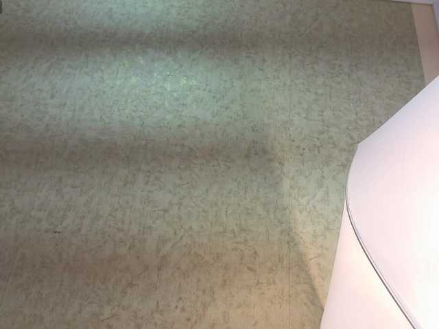 siacavali live cam on BongaCams