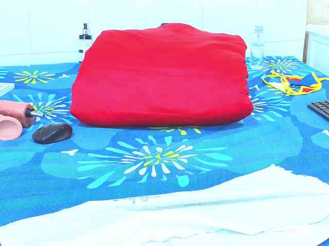 siacavali webcam