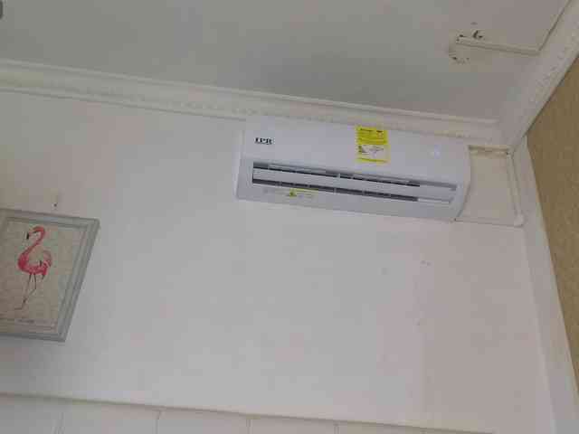 siacavali webcam