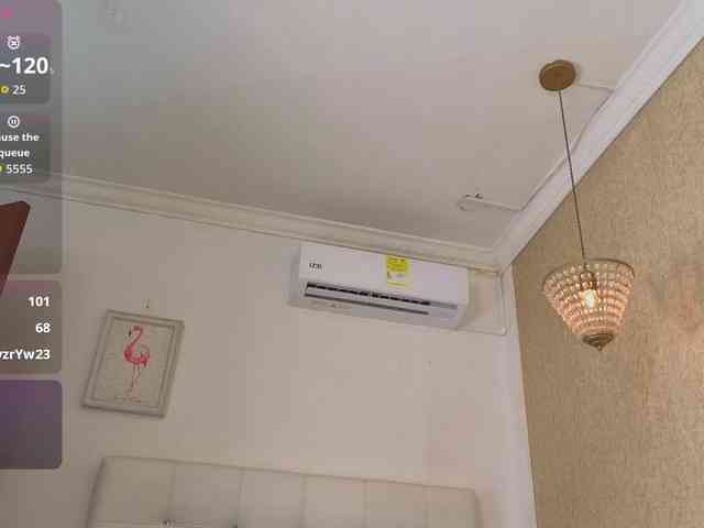 siacavali webcam