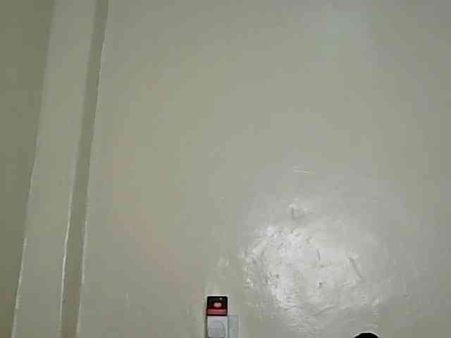 sexykitty4 webcam