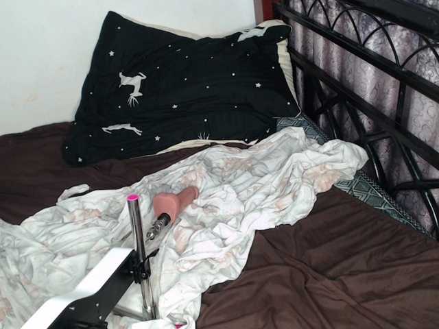 whimsicat live webcam show