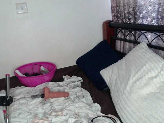 whimsicat live webcam show