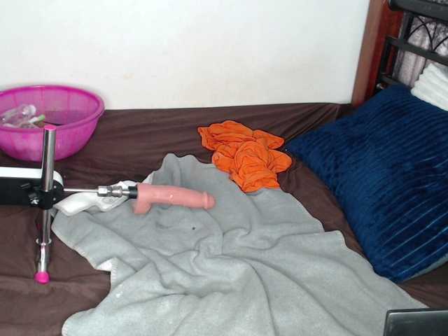 whimsicat live cam on BongaCams