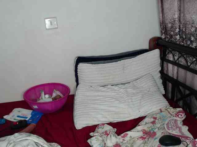 whimsicat webcam