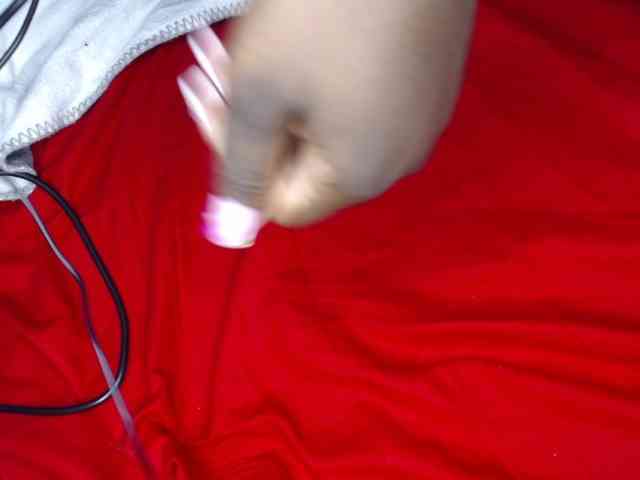 whimsicat webcam