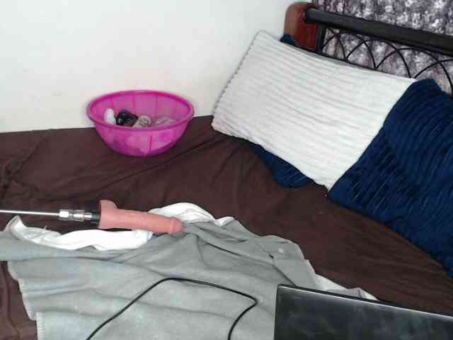 whimsicat webcam