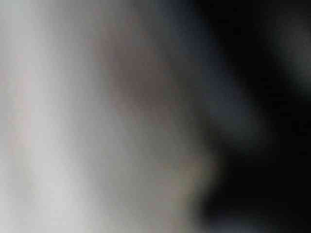 whimsicat webcam