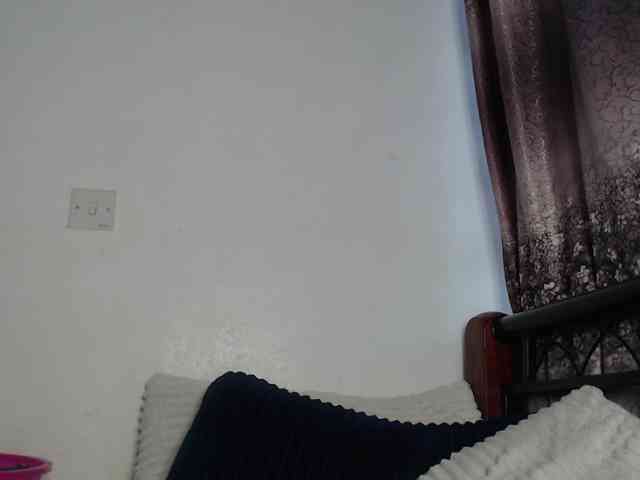 whimsicat webcam