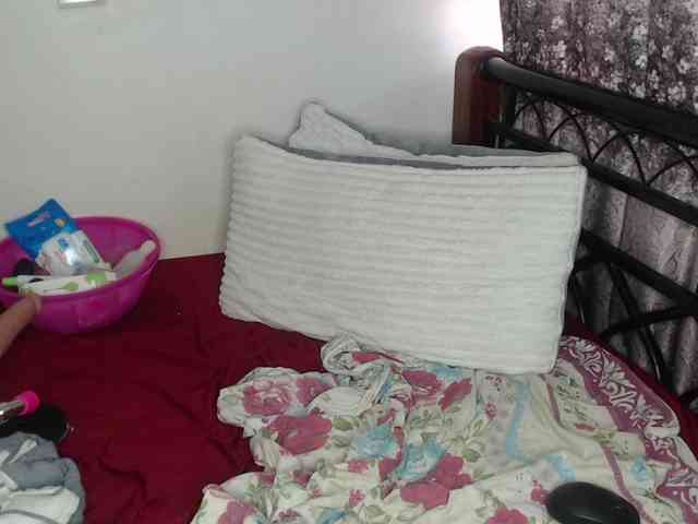 whimsicat webcam