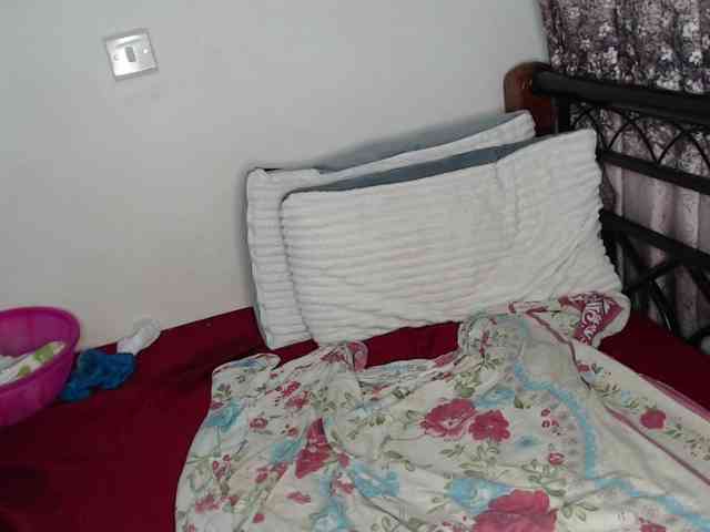 whimsicat webcam