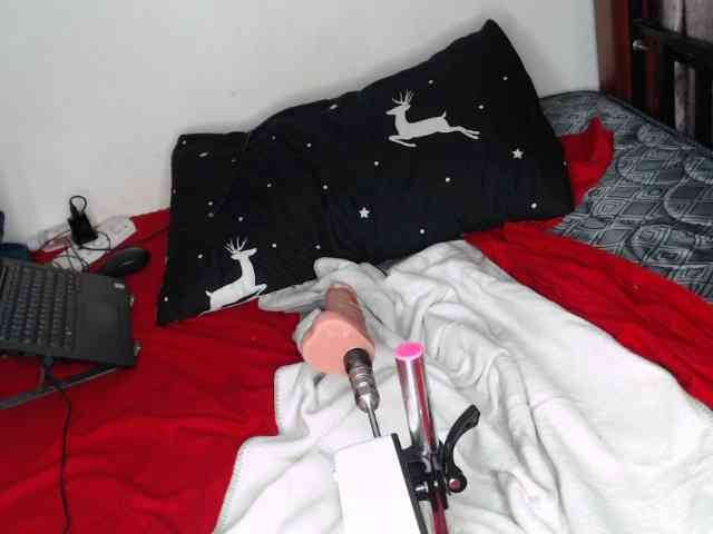 whimsicat webcam