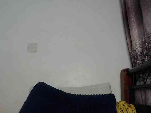 whimsicat webcam