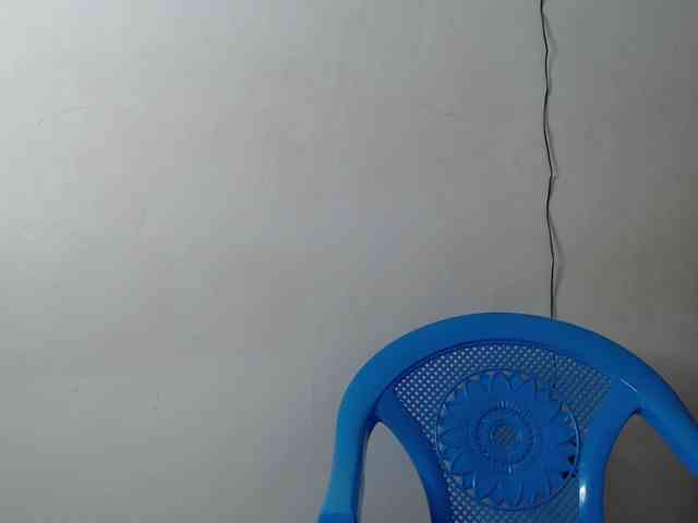 whimsicat webcam