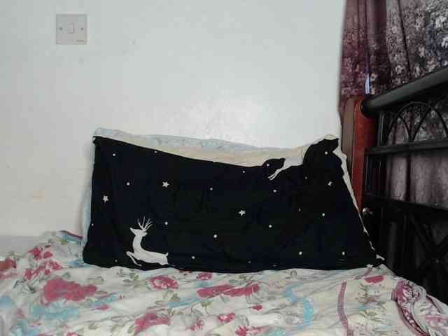 whimsicat webcam