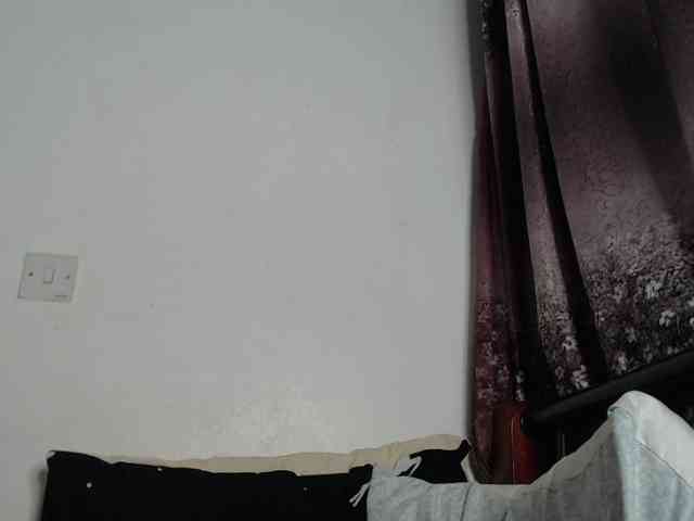 whimsicat webcam