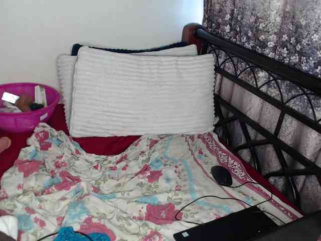 whimsicat webcam