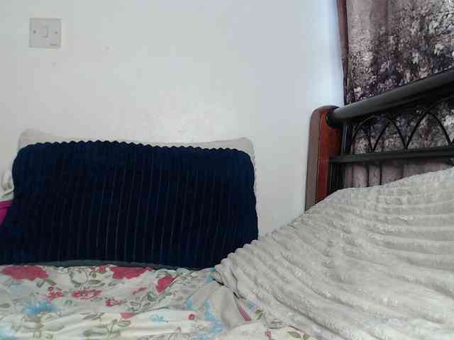 whimsicat webcam