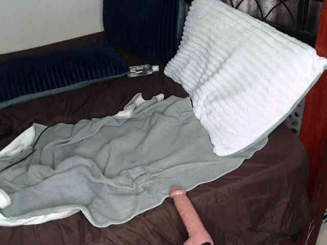 whimsicat webcam