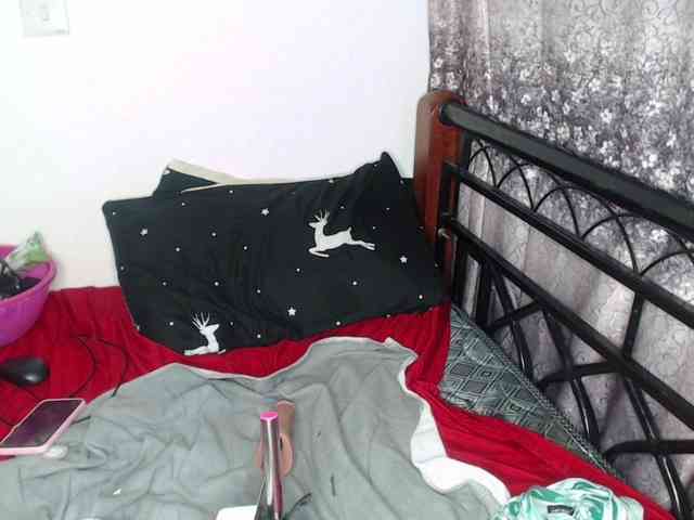 whimsicat webcam