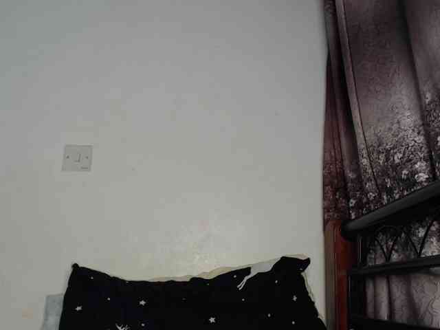 whimsicat webcam