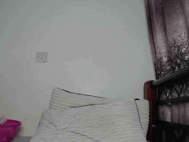 whimsicat webcam