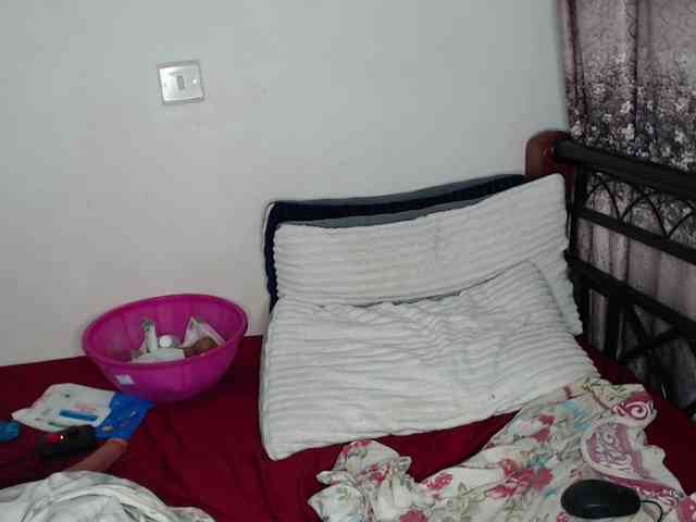 whimsicat webcam