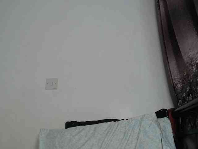 whimsicat webcam