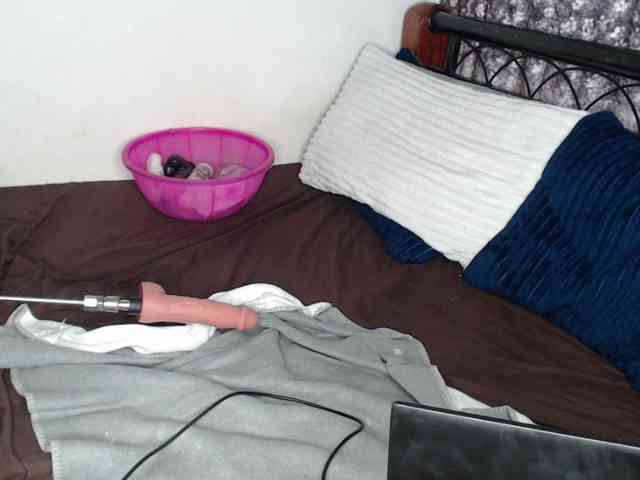 whimsicat webcam